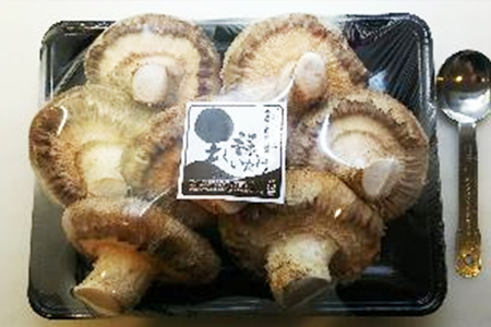 企業 商品画像