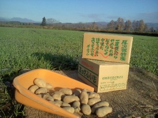 企業 商品画像