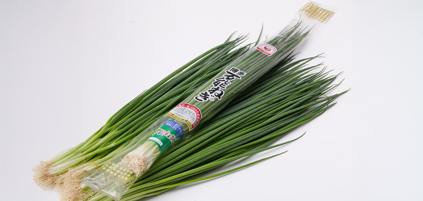 JA筑前あさくら 博多万能ねぎ部会×ＪＡＬ